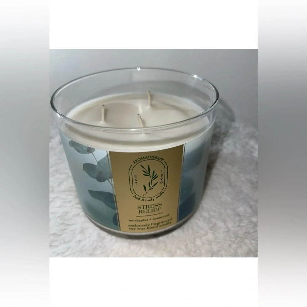 NWT Bath & Body Works Eucalyptus Spearmint Aromatherapy Candle
